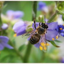 Profile picture for user olenka1982