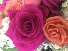 Profile picture for user indy0242