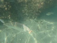 Profile picture for user anibalmar