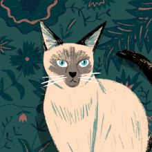 Profile picture for user krupleraksri