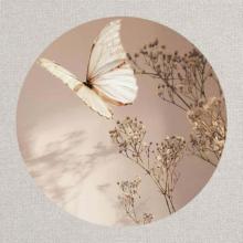 Profile picture for user alerojas2007