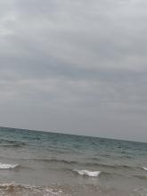 Profile picture for user memosha