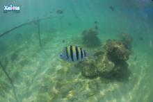 Profile picture for user Cete