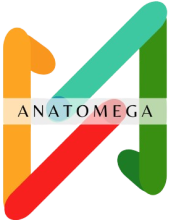 Profile picture for user Patricia_Sinaluisa