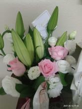 Profile picture for user Jennifer1608