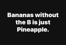 Profile picture for user soniablaya