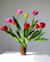 Profile picture for user Areesocute