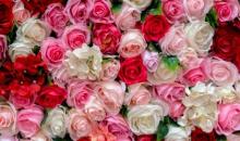 Profile picture for user RizwanaKhatri