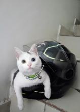 Profile picture for user riortega