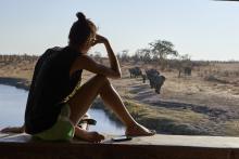 Profile picture for user 84acros