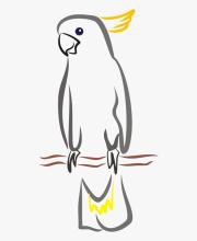 Profile picture for user U_Zaim