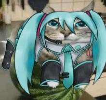 Profile picture for user Jungle000