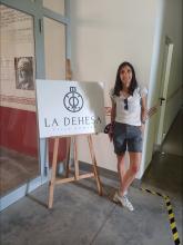 Profile picture for user LauraFdezVill