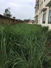 Profile picture for user Heocontinhnghich2019