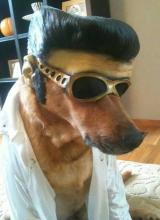 Profile picture for user JavierM_03