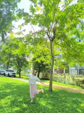 Profile picture for user LISA2090