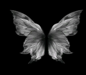 Profile picture for user miptung