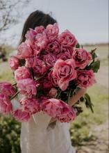 Profile picture for user Redvanskaiia