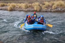 Profile picture for user elicecie6