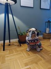 Profile picture for user Pablitolindo