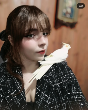 Profile picture for user TeacherNathNath