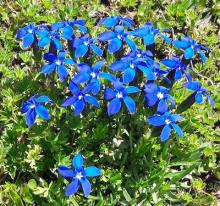 Profile picture for user HDel