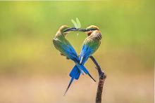 Profile picture for user khuyentrinh