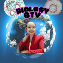 Profile picture for user pornpana