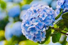 Profile picture for user Thanhtt