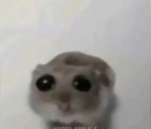 Profile picture for user hoa_29