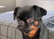 Profile picture for user LizethCortes