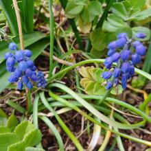 Profile picture for user englishteacher9_10