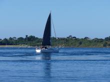 Profile picture for user Carlos_Posada