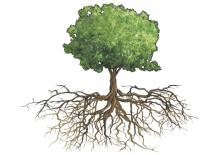 Profile picture for user TJTess