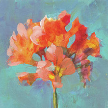 Profile picture for user sweetfreesia