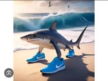 Profile picture for user fnx1st