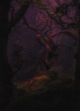 Profile picture for user Veronica50588