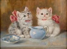 Profile picture for user areen1