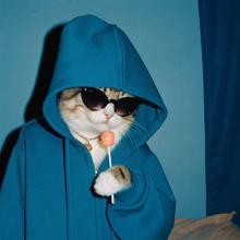 Profile picture for user Rafael200317