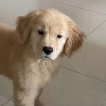 Profile picture for user waruntron