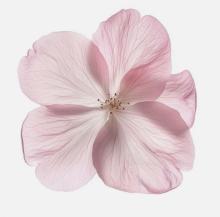 Profile picture for user hams_loulou1