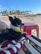 Profile picture for user scarvmr