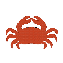 Profile picture for user aghnaamalia