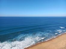 Profile picture for user angelapina