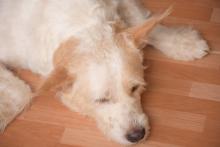 Profile picture for user nont1