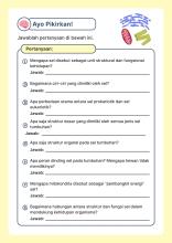 Profile picture for user irhamni1302