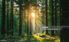 Profile picture for user Marlincita