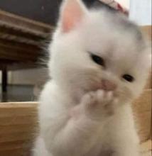 Profile picture for user aanidamanoromsutjarit