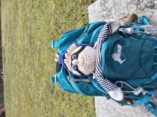 Profile picture for user msalsas