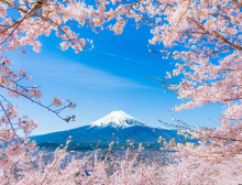 Profile picture for user carolinamartnuche